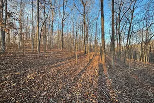 001 State Hwy D, Greendale, MO 63944 - Photo 1