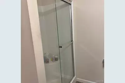 10 Scenic Bend, Festus, MO 63028 - Photo 15