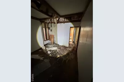 1323 N Taylor Avenue, Saint Louis, MO 63113 - Photo 23