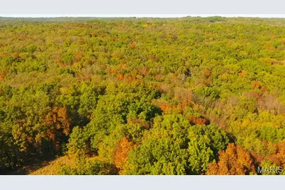 28 Monroe Hills Lane, Linn, MO 65051 - Photo 69