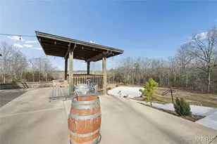 3576 Sand Creek Rd, Farmington, MO 63640 - Photo 35