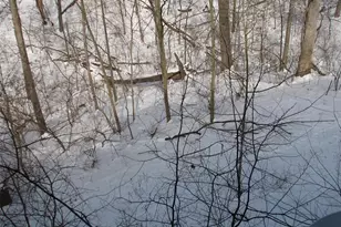 19111 Foxfire Forest Rd, Wildwood, MO 63069 - Photo 11