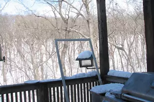 19111 Foxfire Forest Rd, Wildwood, MO 63069 - Photo 13