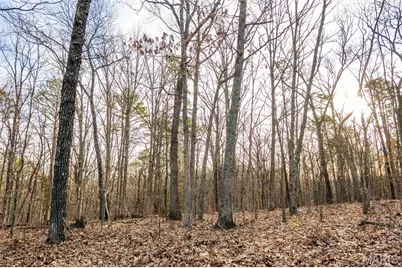 13174 W State Highway 8, Potosi, MO 63664 - Photo 65