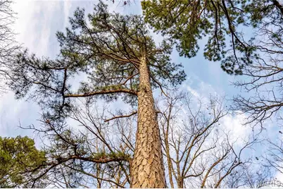 13174 W State Highway 8, Potosi, MO 63664 - Photo 85