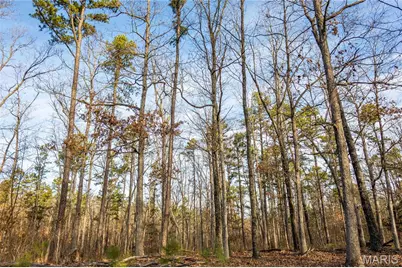 13174 W State Highway 8, Potosi, MO 63664 - Photo 83