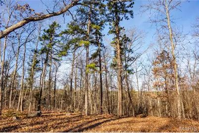 13174 W State Highway 8, Potosi, MO 63664 - Photo 67