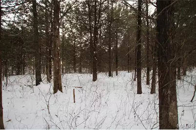 6.09 State Highway A, Truxton, MO 63381 - Photo 37