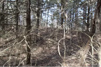 6.09 State Highway A, Truxton, MO 63381 - Photo 33