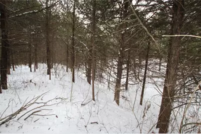 6.09 State Highway A, Truxton, MO 63381 - Photo 43