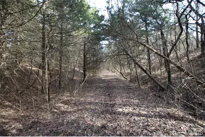 6.09 State Highway A, Truxton, MO 63381 - Photo 39