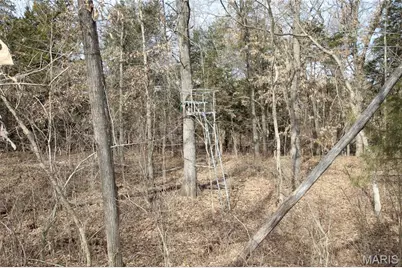 6.09 State Highway A, Truxton, MO 63381 - Photo 27