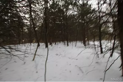 6.09 State Highway A, Truxton, MO 63381 - Photo 29