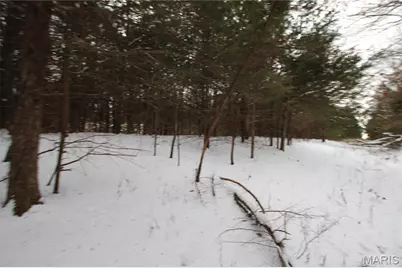 6.09 State Highway A, Truxton, MO 63381 - Photo 31