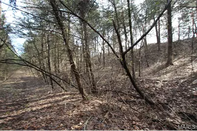 6.09 State Highway A, Truxton, MO 63381 - Photo 41