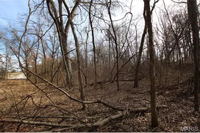 6.09 State Highway A, Truxton, MO 63381 - Photo 17