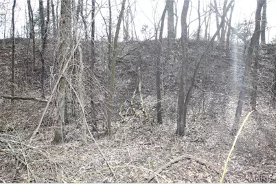 6.09 State Highway A, Truxton, MO 63381 - Photo 45