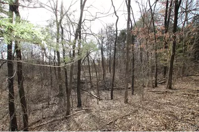 6.09 State Highway A, Truxton, MO 63381 - Photo 25