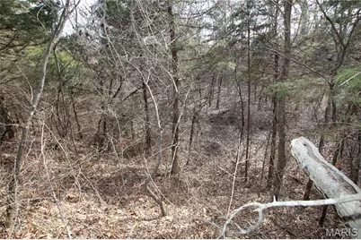 6.09 State Highway A, Truxton, MO 63381 - Photo 47