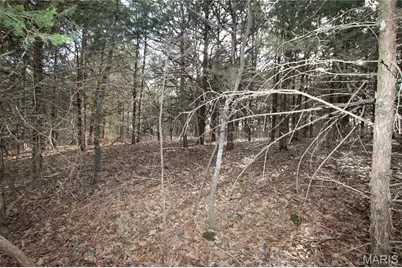 6.09 State Highway A, Truxton, MO 63381 - Photo 9