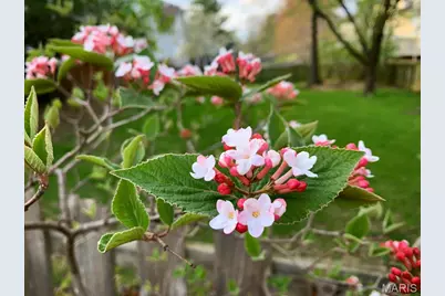 1118 Saddlebrook Court, Saint Charles, MO 63304 - Photo 29