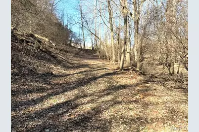 1155 Kiefer Creek Road, Ballwin, MO 63021 - Photo 17