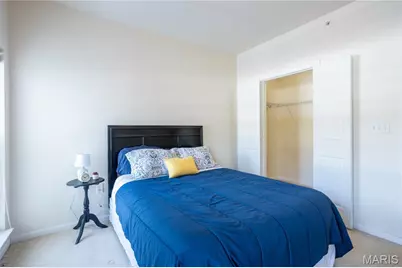 42 Kassebaum Lane #208, Saint Louis, MO 63129 - Photo 21