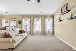 17 Ash Ct, Festus, MO 63028 - Photo 7