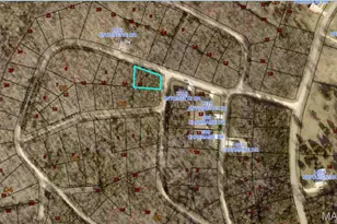 Lot 1 Antoinette Dr, Bonne Terre, MO 63628 - Photo 1