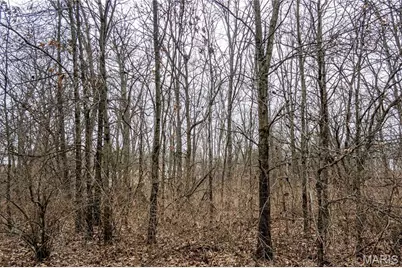 581 Highway Z, Silex, MO 63377 - Photo 45