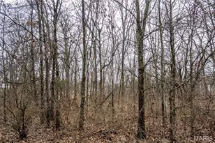 581 Hwy Z, Whiteside, MO 63377 - Photo 45