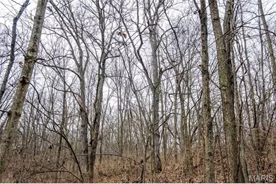 581 Highway Z, Silex, MO 63377 - Photo 39