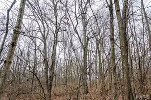 581 Hwy Z, Whiteside, MO 63377 - Photo 39