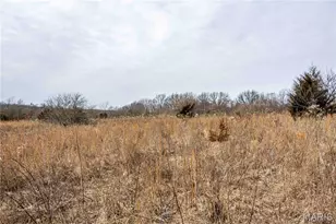 581 Hwy Z, Whiteside, MO 63377 - Photo 51