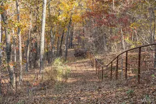 2447 Hwy N, Bismarck, MO 63624 - Photo 65