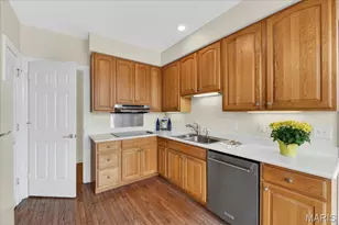 315 N Meramec Ave, Saint Louis, MO 63105 - Photo 17