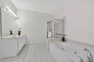 315 N Meramec Ave, Saint Louis, MO 63105 - Photo 25