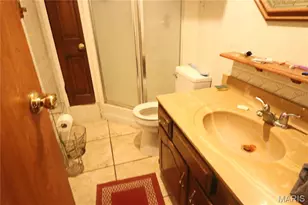 3582 Jarvis Rd, Hillsboro, MO 63050 - Photo 17