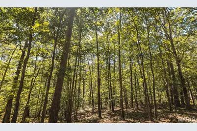 000 County Road 5600, Salem, MO 65560 - Photo 51