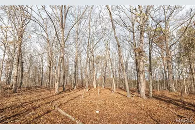 000 County Road 5600, Salem, MO 65560 - Photo 31