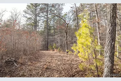 000 County Road 5600, Salem, MO 65560 - Photo 65