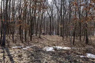 1175 Pike 41, Bowling Green, MO 63334 - Photo 55