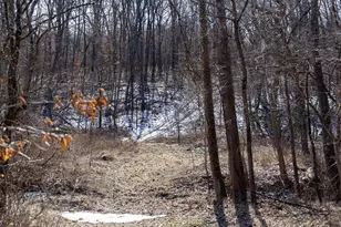 1175 Pike 41, Bowling Green, MO 63334 - Photo 59