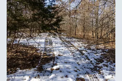 1175 Pike 41, Bowling Green, MO 63334 - Photo 67