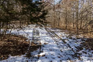 1175 Pike 41, Bowling Green, MO 63334 - Photo 67