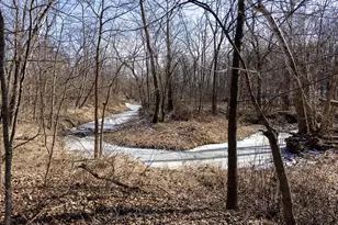 1175 Pike 41, Bowling Green, MO 63334 - Photo 63