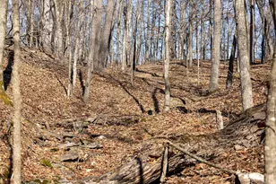 1175 Pike 41, Bowling Green, MO 63334 - Photo 57