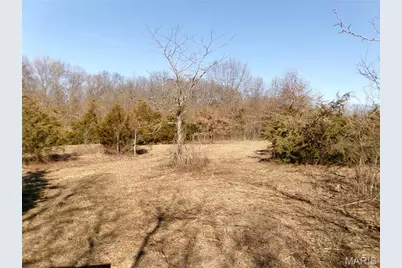 1175 Pike 41, Bowling Green, MO 63334 - Photo 87