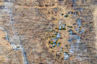 1175 Pike 41, Bowling Green, MO 63334 - Photo 83