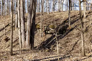 1175 Pike 41, Bowling Green, MO 63334 - Photo 59